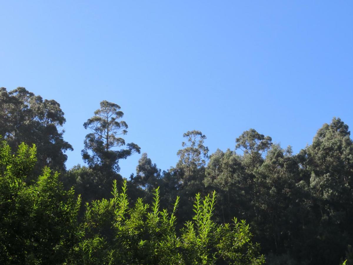 מלון São Vicente Solar Do Carvalho מראה חיצוני תמונה